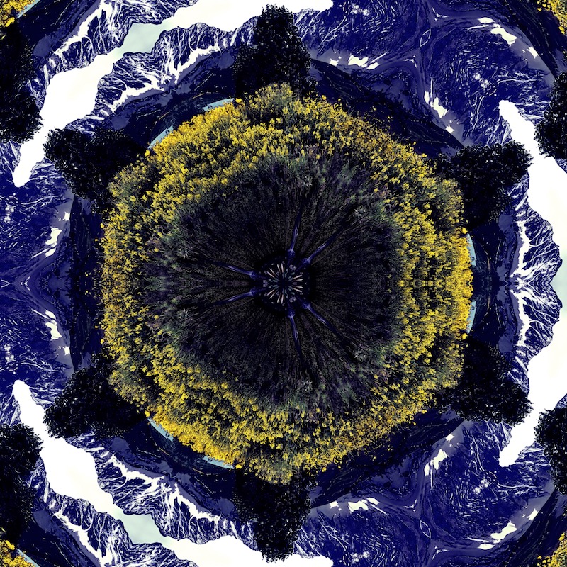 ELEVATION album